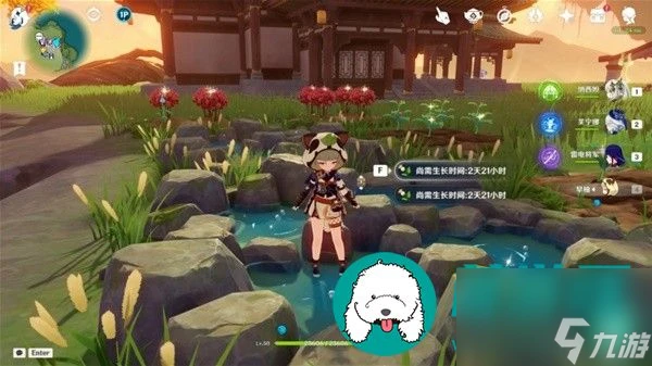 原神嘟嘟蓮在哪獲取-原神嘟嘟蓮採集路線推薦