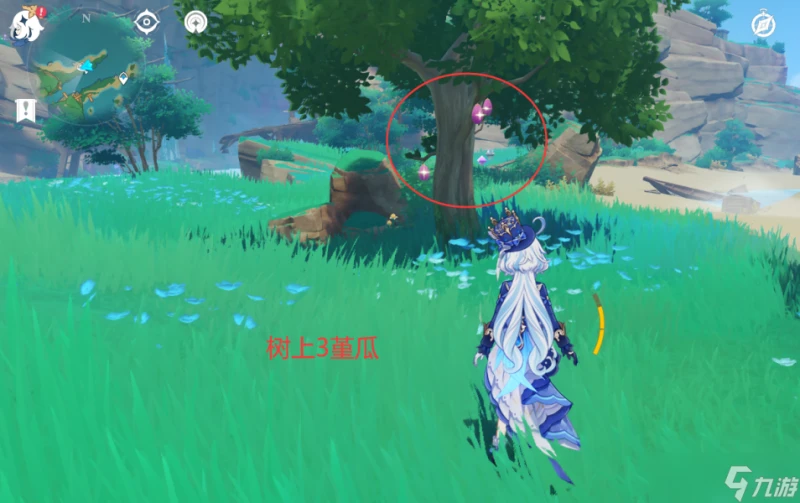 原神 V4.6攻略   堇瓜採集 購買 八醞島 海祇島 志村屋