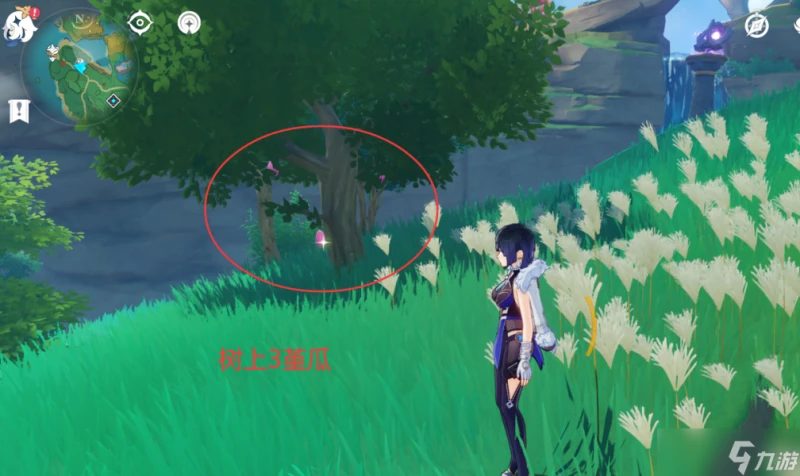 原神 V4.6攻略   堇瓜採集 購買 八醞島 海祇島 志村屋