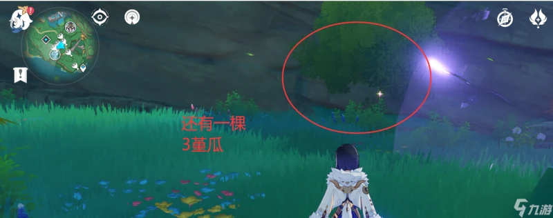 原神 V4.6攻略   堇瓜採集 購買 八醞島 海祇島 志村屋