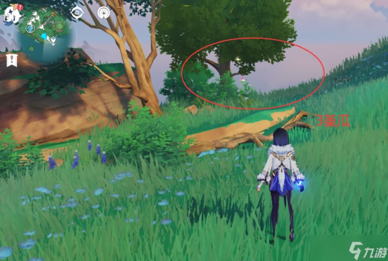 原神 V4.6攻略   堇瓜採集 購買 八醞島 海祇島 志村屋