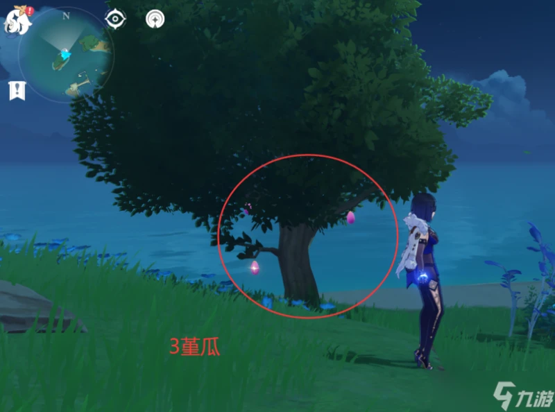 原神 V4.6攻略   堇瓜採集 購買 八醞島 海祇島 志村屋