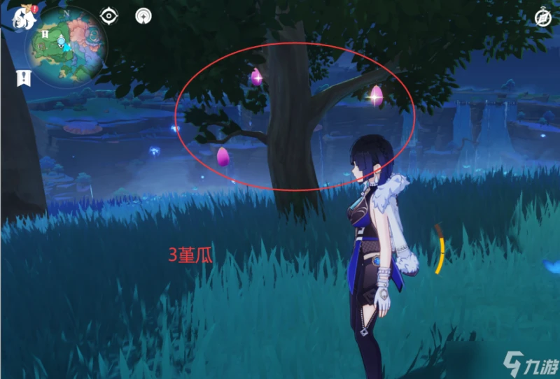 原神 V4.6攻略   堇瓜採集 購買 八醞島 海祇島 志村屋