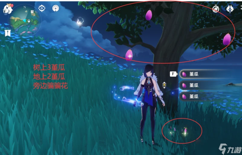 原神 V4.6攻略   堇瓜採集 購買 八醞島 海祇島 志村屋