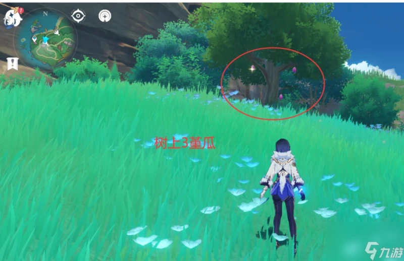 原神4.6堇瓜獲取方法