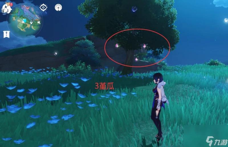 原神4.6堇瓜獲取方法