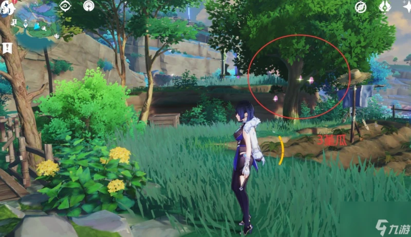 原神4.6堇瓜獲取方法