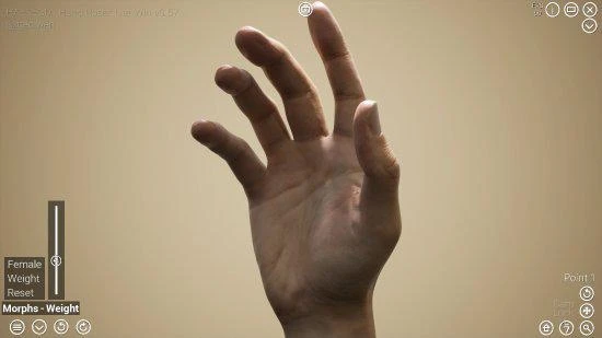 手控福利？這款可調姿勢的手部造型模擬器已登Steam