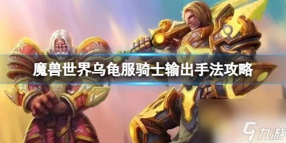 魔獸世界烏龜服的聖騎士 魔獸世界烏龜服騎士手法