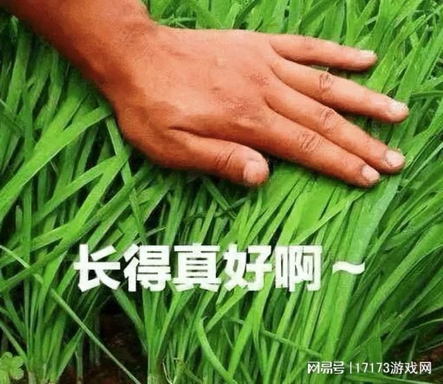 《劍網3無界》實現15年數據端手游互通，玩家喊話自家MMO好好學