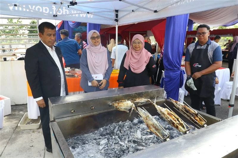 豐盛港海域重植海草 保護儒艮棲息地