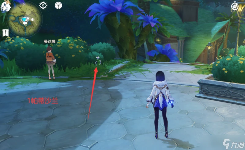 原神 V4.7攻略   帕蒂沙蘭全圖採集