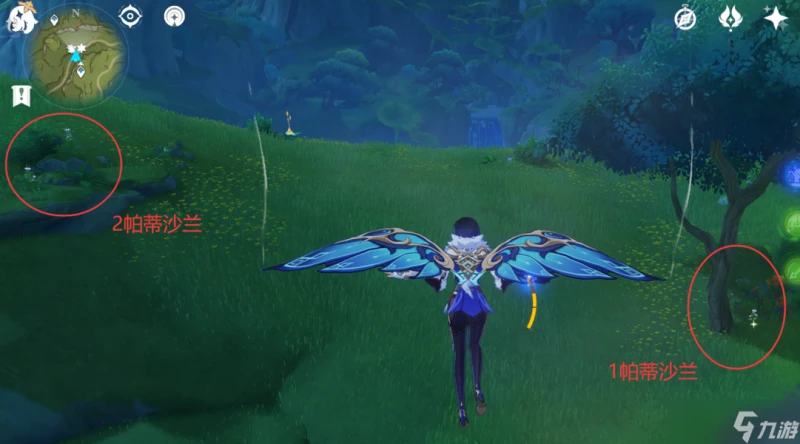 原神 V4.7攻略   帕蒂沙蘭全圖採集