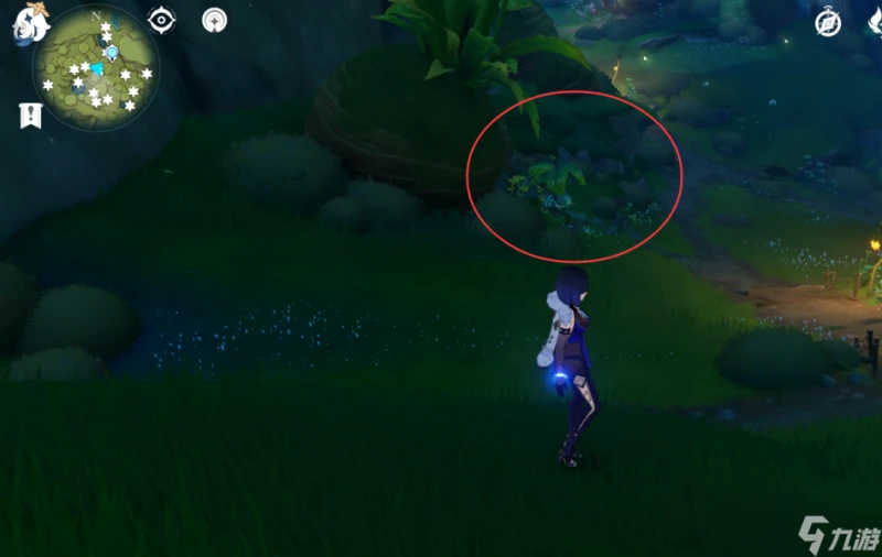 原神 V4.7攻略   帕蒂沙蘭全圖採集