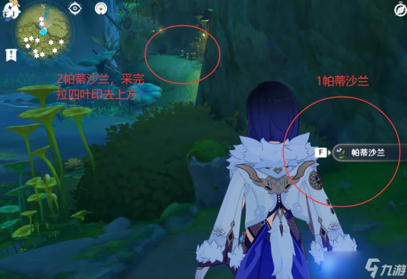 原神 V4.7攻略   帕蒂沙蘭全圖採集