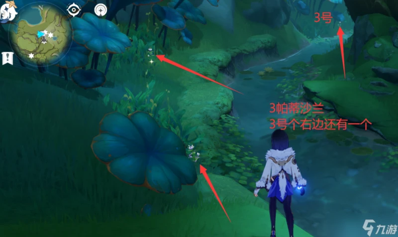 原神 V4.7攻略   帕蒂沙蘭全圖採集