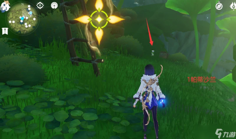 原神 V4.7攻略   帕蒂沙蘭全圖採集