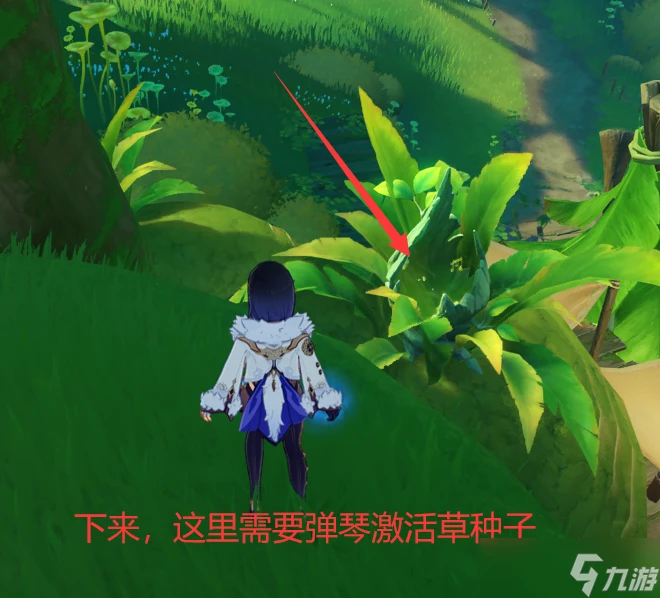 原神 V4.7攻略   帕蒂沙蘭全圖採集