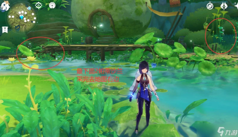 原神 V4.7攻略   帕蒂沙蘭全圖採集