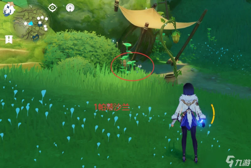 原神 V4.7攻略   帕蒂沙蘭全圖採集