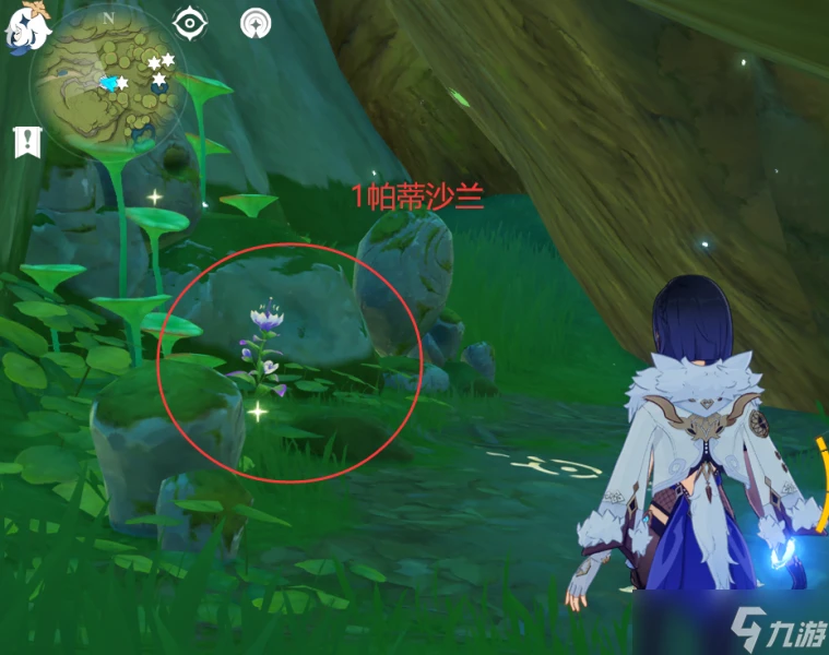 原神 V4.7攻略   帕蒂沙蘭全圖採集