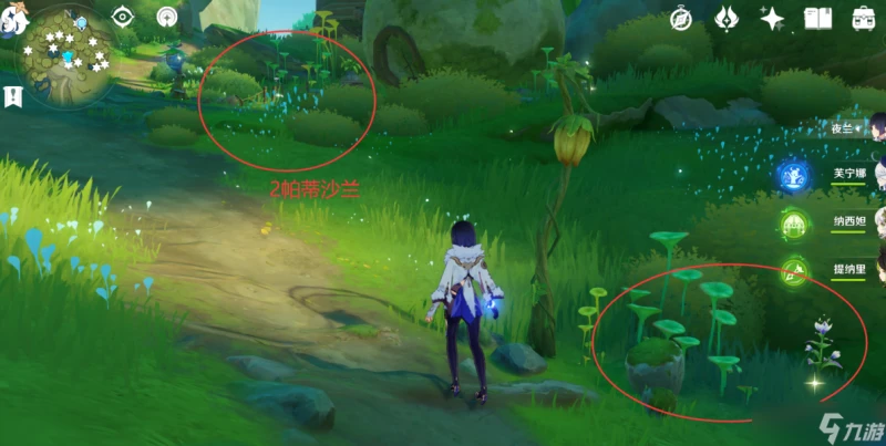 原神 V4.7攻略   帕蒂沙蘭全圖採集