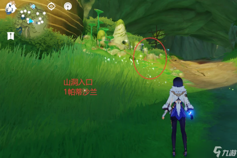 原神 V4.7攻略   帕蒂沙蘭全圖採集