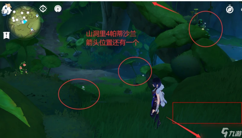 原神 V4.7攻略   帕蒂沙蘭全圖採集