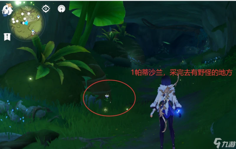 原神 V4.7攻略   帕蒂沙蘭全圖採集