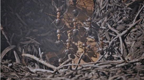 扮演螞蟻守護族群！《螞蟻帝國》將於11月7日發售