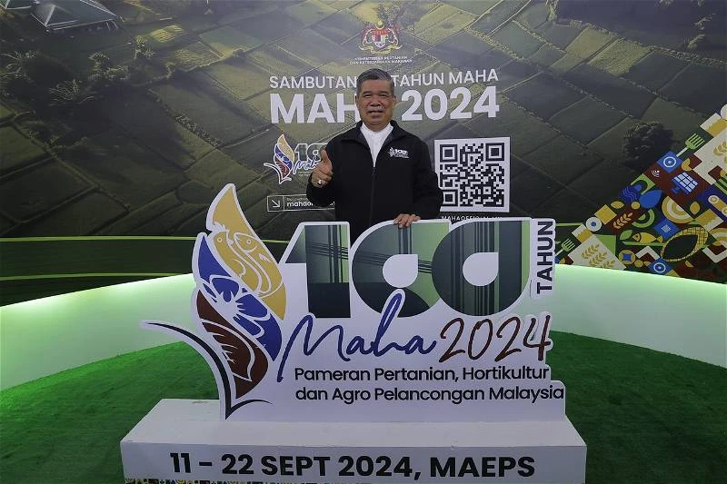 末沙布：10月敲定調高白米頂價建議