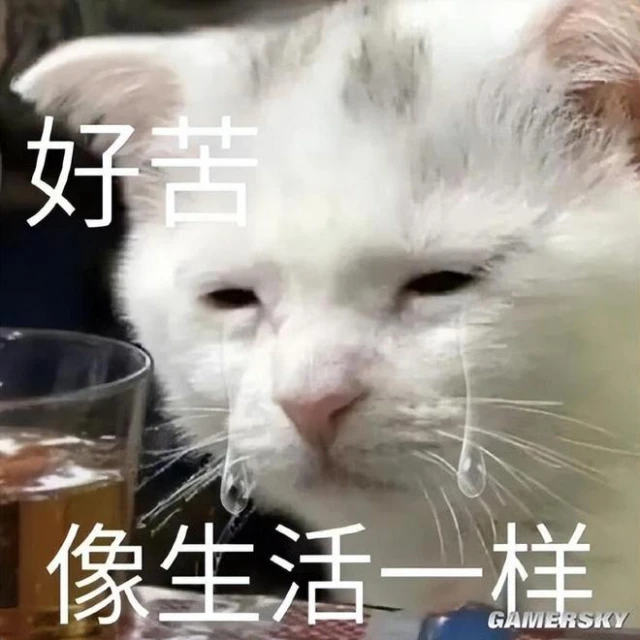 武俠也要看臉？為什麼大俠一定要帥？