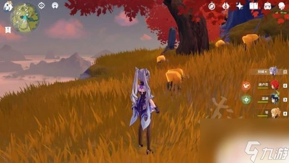 原神石珀在哪裡得到 石珀分布地點在哪裡