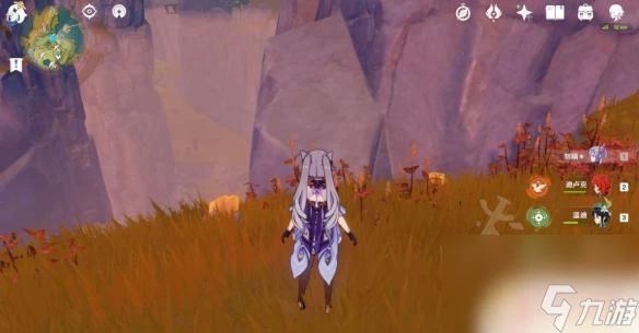 原神石珀在哪裡得到 石珀分布地點在哪裡