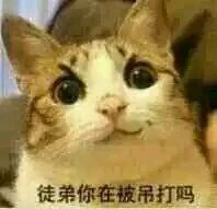 工作日還1萬+排隊，15年老端游緣何蒸蒸日上？