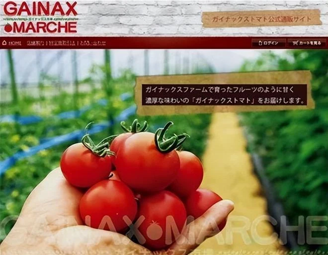 製作EVA的動畫公司倒閉了，為了賺錢居然製作工口遊戲和賣西紅柿