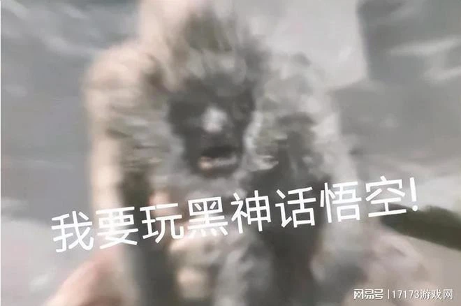 馬化騰沒錢了？騰訊最賺錢的遊戲上國際服，網友不滿：人機輸出！