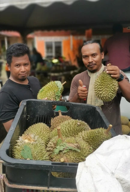 盼甘榜榴槤鮮果能出口中國　果農：不想成滄海遺珠