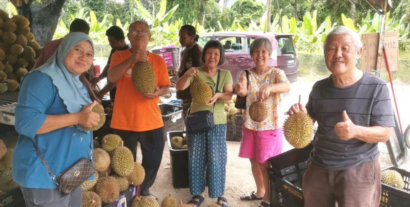 盼甘榜榴槤鮮果能出口中國　果農：不想成滄海遺珠