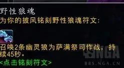 魔獸世界plusP4薩滿怎麼樣