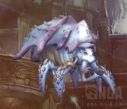 魔獸世界尼魯巴爾王宮老一技能介紹