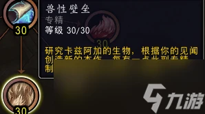 魔獸世界11.0制皮專精技能介紹