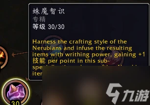 魔獸世界11.0制皮專精技能介紹