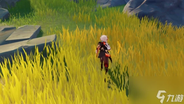 原神愛心島在哪裡介紹