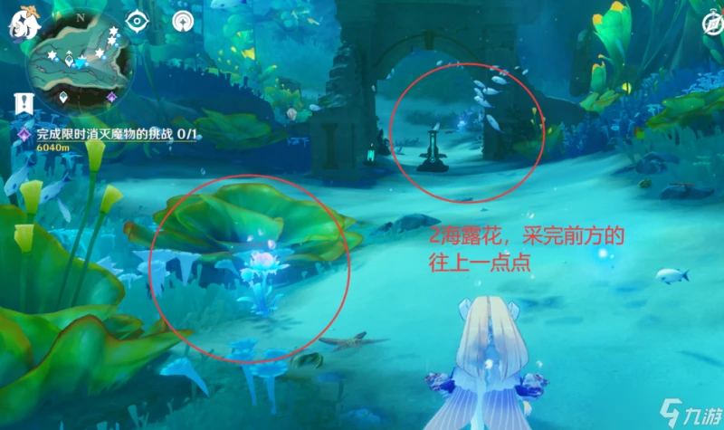 原神 V4.7攻略   希格雯突破材料   海露花採集 水下部分