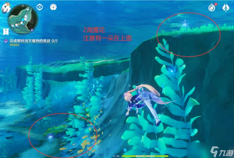 原神 V4.7攻略   希格雯突破材料   海露花採集 水下部分