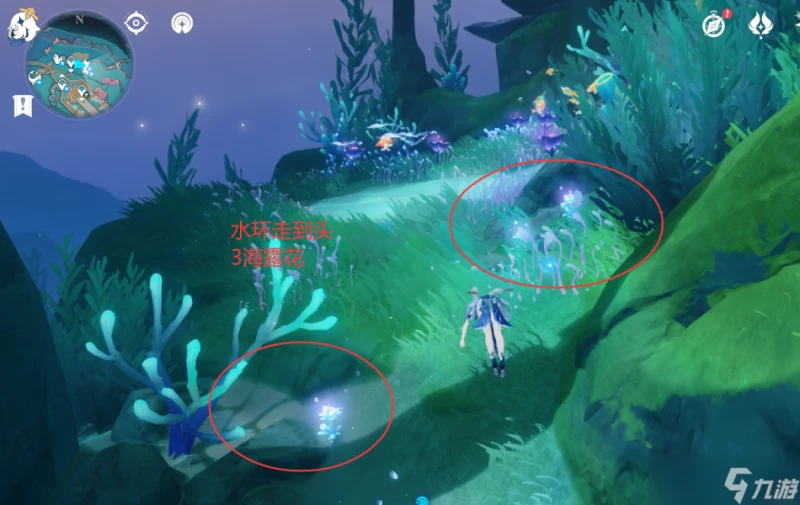 原神 V4.7攻略   希格雯突破材料   海露花採集 水下部分