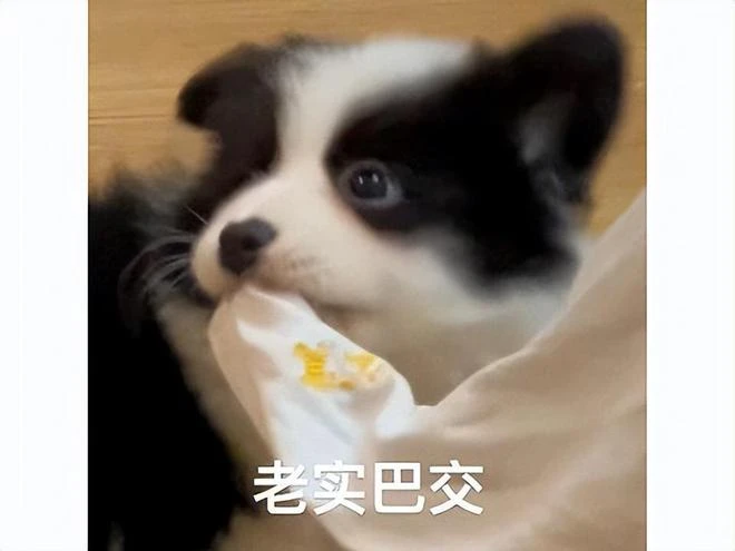 《DNF手游》被擠下來了！打斷騰訊霸榜神話，還得是米哈游