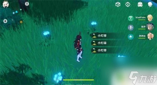 小燈草原神在哪裡採集 《原神》小燈草採集方法