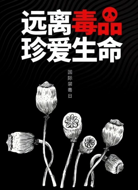 第一部緝毒題材的互動影視，真的有格局